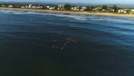 Aerial-view-of-a-group-of-Nippers-paddling-out-into-the-ocean-during-a-morning-training-session-on-a-calm-day-at-Mermaid-Beach-Gold-Coast-Australia