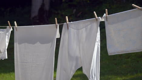 Ropa Interior Femenina Seca En Un Tendedero En Un Jardín. Enfoque