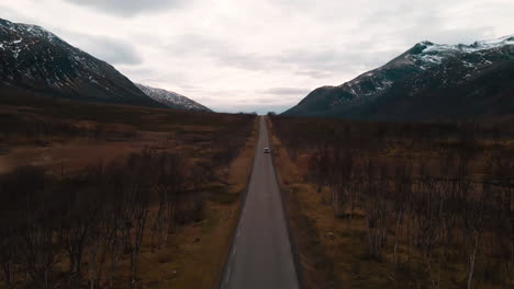 Driving-through-the-dry-forest-of-Tromso-Valley-in-Norway--Wide