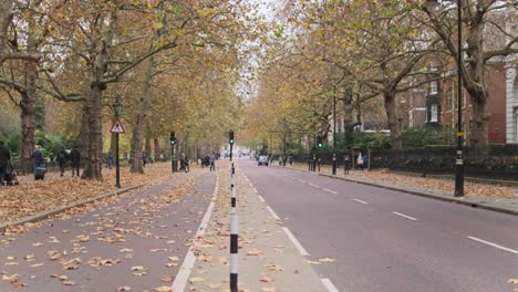 Quiet-London-Cycle-lane-and-road-birdcage-walk-in-autumn