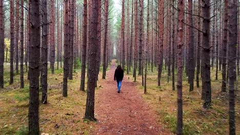 A-woman-walking-in-a-pine-tree-forest-in-autumn