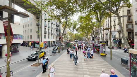 Gehen-Sie-Mit-Einem-Gimbal-Durch-Das-Zentrum-Von-Barcelona-Und-Gehen-Sie-Den-Fußgängerweg-Entlang