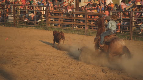Abusing-animals-as-a-race-hobby-at-Montana-Rodeo-ring-USA