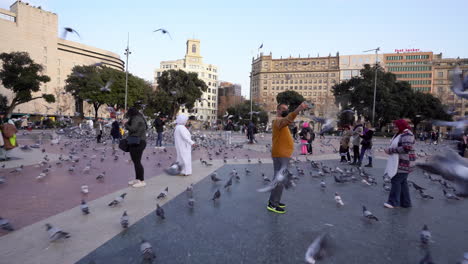 Pigeons-fly-above-crowded-city-center-main-square-during-a-sunny-day
