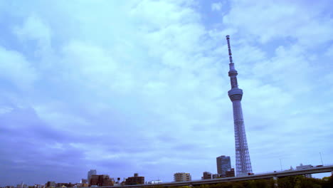 Tokyo-Skytree,-Asakusa,-Tokio,-Japón-Alrededor-De-Abril-De-2020:-Algunos-Pájaros-Volando-Y-Posándose-En-La-Cerca-De-Hierro-Pacíficamente
