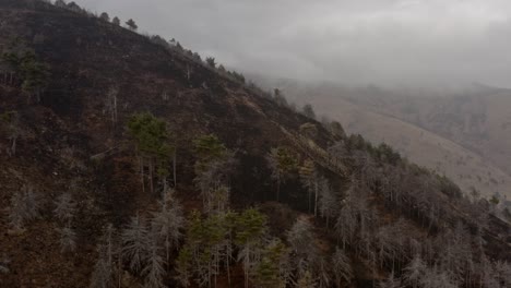 Auswirkungen-Des-Klimawandels-Auf-Hügel,-Nachdem-Ein-Feuer-Land-Zerstörte