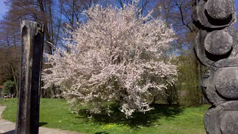 Jardín-Botánico-En-La-Ciudad-De-Olomouc-Con-árboles-Floridos-Y-Estatuas-De-Madera-En-Un-Soleado-Día-De-Primavera,-República-Checa