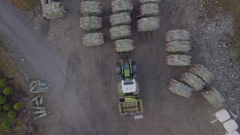 Tractor-moves-bunch-of-wrapped-Christmas-trees-for-transport