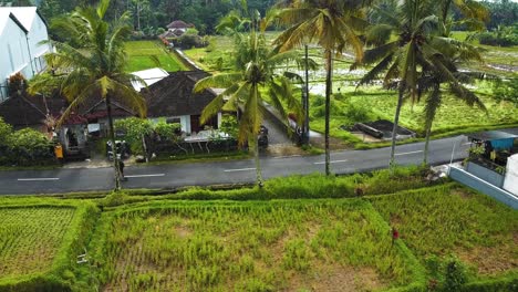 Erstaunliche-Filmische-Ubud-,-Bali-Drohnenaufnahmen-Mit-Exotischen-Reisterrassen,-Kleinen-Bauernhöfen,-Dorfhäusern-Und-Agroforstplantagen