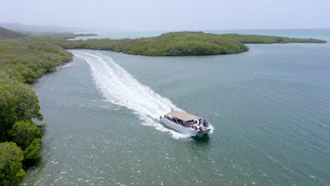 Luftaufnahme,-Die-Viele-Touristen-Auf-Einem-Schnellboot-Während-Einer-Tour-Zwischen-Dem-Mangrovenbaumpark-In-Monte-Cristi,-Dominikanische-Republik,-Zeigt