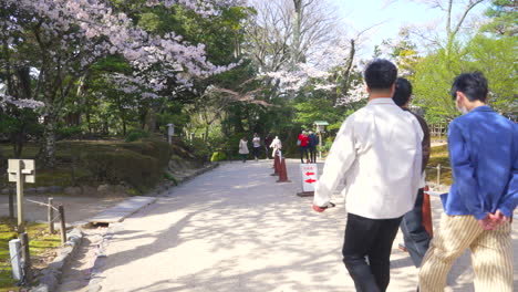 Locals-Roaming-Around-Kenrokuen-Garden-During-Sakura-Season-In-Springtime-In-Kanazawa,-Japan