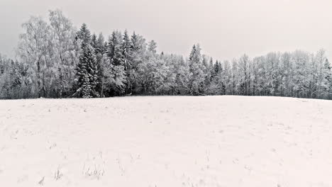 Slow-moving-drone-shot-flying-over-snow-covered-fields-and-forests