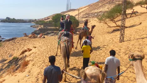 Close-up-of-a-group-of-tourists-going-for-a-camels-ride-guided-by-local-Nubian-Egyptian-people-through-the-desert-at-Nile-riverbanks