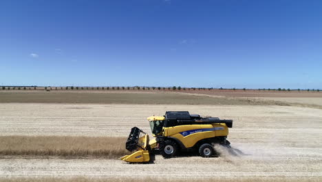 combine-harvester-working-on-a-large-field-of-rapeseed,-reaping-mature-plants