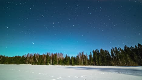 Time-lapse-of-flying-stars-at-night-sky-over-silhouette-of-forest-trees-in-winter-season---twilight-shot