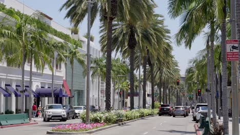 137 Rodeo Drive Night Stock Video Footage - 4K and HD Video Clips