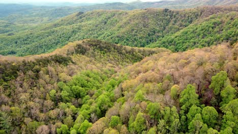 Appalachian-Mountains,-Blue-Ridge-mountains-in-spring-time