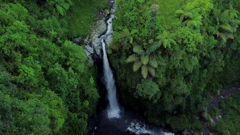Drone-shot-of-nature-view-of-waterfall-with-surrounding-vegetation