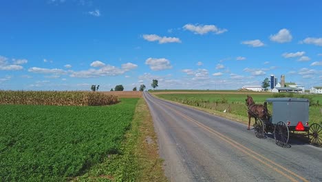 Ein-Amish-Pferd-Und-Ein-Buggy-Traben-An-Einem-Schönen-Sonnigen-Tag-In-Zeitlupe-Eine-Landstraße-Entlang