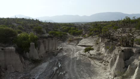Shrubbery-in-Arid,-Desolate-Mexico-Desert-of-Zapotitlan---Aerial
