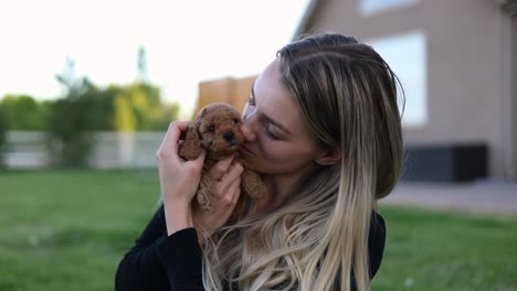 Female-Pet-Owner-Holding-and-Cuddling-Small-Cute-Doodle-Puppy-Dog