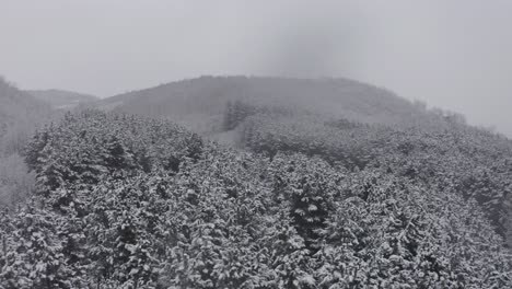 Overcast-and-Snowing-Day-by-Lake-Drone-Push-in-Landscape-of-Mountains