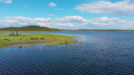 4K-Drone-Video-of-Kayaker-on-Clearwater-Lake-near-Delta-Junction,-AK-during-Summer-AFternoon