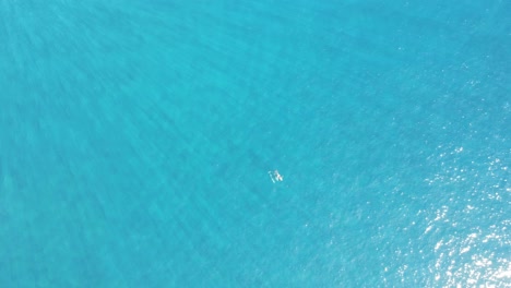 Top-down-drone-footage-of-three-far-dolphins-swimming-in-a-turquoise-ocean