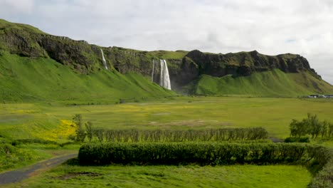 Cascadas-De-Seljalandsfoss-En-Islandia-Con-Video-De-Drones-En-Arbustos-Estables