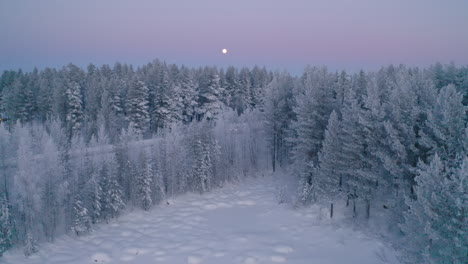 Mondlicht-Luftaufnahme,-Die-In-Der-Abenddämmerung-über-Den-Wunderschönen-Verschneiten-Skandinavischen-See-In-Richtung-Kiefernwälder-Fliegt