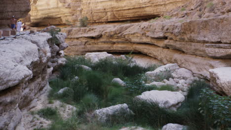 Excursionistas-Que-Van-Y-Vienen-De-Las-Piscinas-Del-Cañón-Wadi-Shab,-Omán,-Plano-General