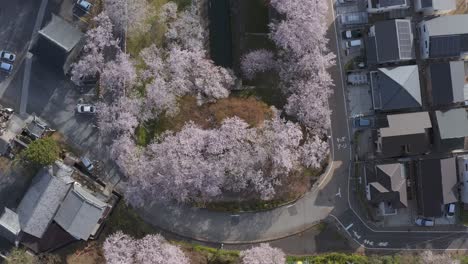 Biwako-Kanal-Und-Shiga-Viertel,-Luftaufnahme-Von-Oben-Nach-Unten-Im-Frühling-Japan
