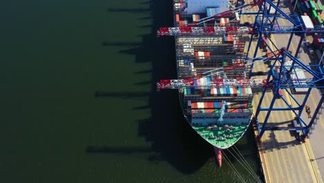 Containerschiff-Im-Export--Und-Importgeschäft-Und-In-Der-Logistik