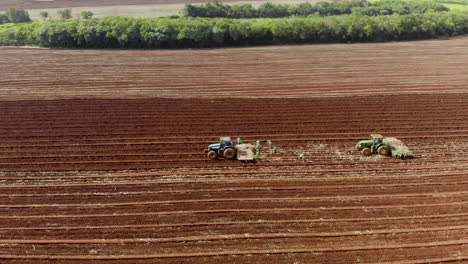 Men-planting-cane-manually-in-the-field