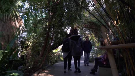 Slow-mo-of-people-walking-through-the-middle-of-the-Winter-Gardens-in-Sheffield,-England