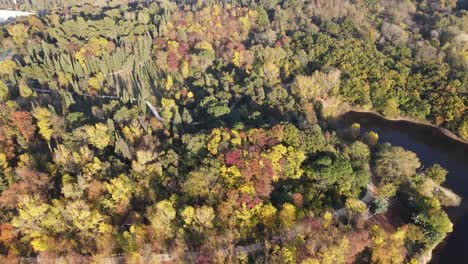 Wundervoller-Natürlicher-Wald,-Aufgenommen-Mit-Drohne-Am-See