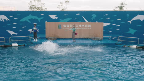 Delfines-Saltando-Fuera-Del-Agua-Durante-Un-Espectáculo-De-Animales-En-El-Acuario-Sendai-Umino-mori-En-Japón---Plano-General