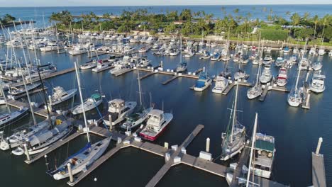 Ko-Olina-marina-panorama,-Sailing-boats-parked,-Palm-tree-waterfront,-Hawaii-Aerial-tracking
