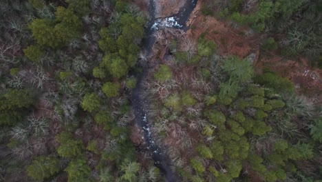 Aerial-top-down-drone-footage-of-a-beautiful-stream-winding-through-a-thick,-lush-green-forest