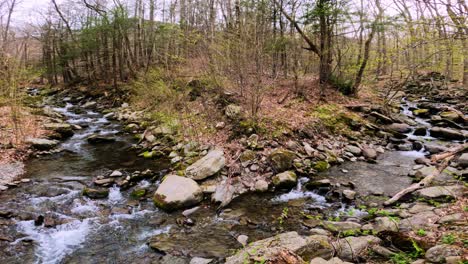 Wide-angle-view-of-a-gentle-and-beautiful-forked-spring-stream-in-beautiful-woodland