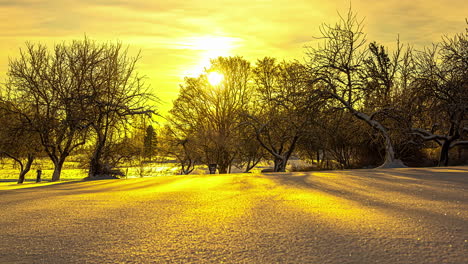Schatten-Bewegen-Sich-über-Den-Schnee,-Während-Der-Goldene-Und-Leuchtende-Sonnenschein-Hinter-Den-Waldbäumen-Hervorlugt-–-Zeitraffer