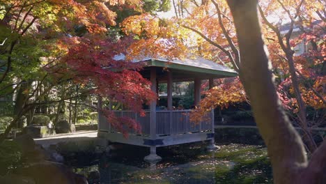A-beautiful-park-in-Tokyo-during-fall-season