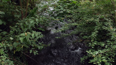 Fast-flowing-river-in-the-woods-or-rain-forest