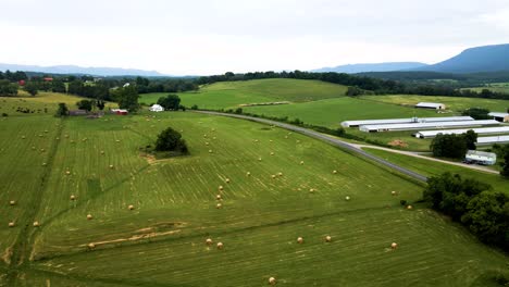 Aerial-drone-view-of-a-farm-covered-with-green-grass-on-a-sunny-day