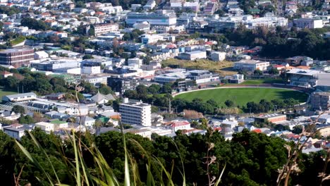 Wellington-Basin-Reserve-cricket-grounds-for-test-matches-and-home-to-Wellington-Firebirds-team-in-capital,-New-Zealand-Aotearoa