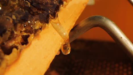 Slow-motion-close-up-shot-of-honey-dripping-from-a-honeycomb