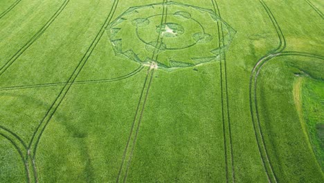 Aerial-view-geometric-crop-circle-Birdseye-over-lush-grassy-Wiltshire-meadow-blowing-in-the-breeze