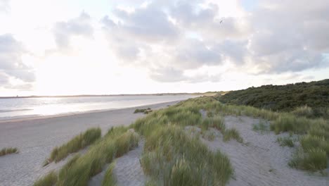 Aerial-footage-flying-over-the-dunes-at-the-north-sea-shore-of-Zeeland,-Netherlands-during-sunrise