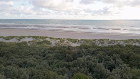 Early-morning-drone-footage-of-green,-overgrown-dunes-at-the-south-west-coast-of-the-Netherlands