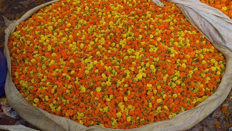 The-collected-marigold-flowers-are-brought-to-the-market-for-sale